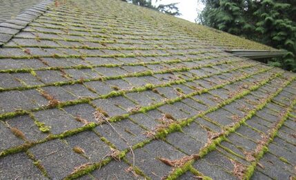 Broken Arrow Roof Repair-- Algae Growth